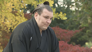 安青錦（大相撲）