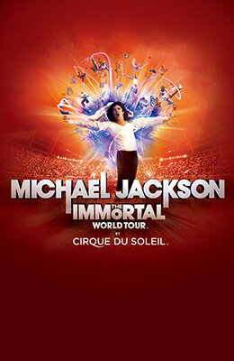 MICHAEL JACKSON THE IMMORTAL WORLD TOUR マイケル・ジャクソンザ・イモータル ワールドツアー