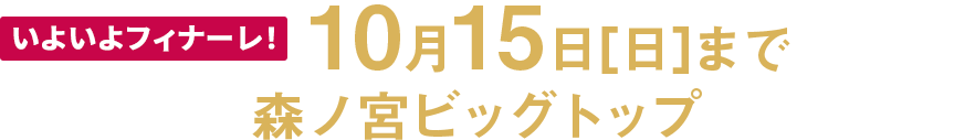 いよいよフィナーレ！10月15日［日］まで 森ノ宮ビッグトップ