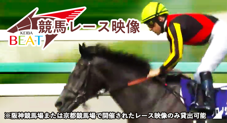 競馬レース映像