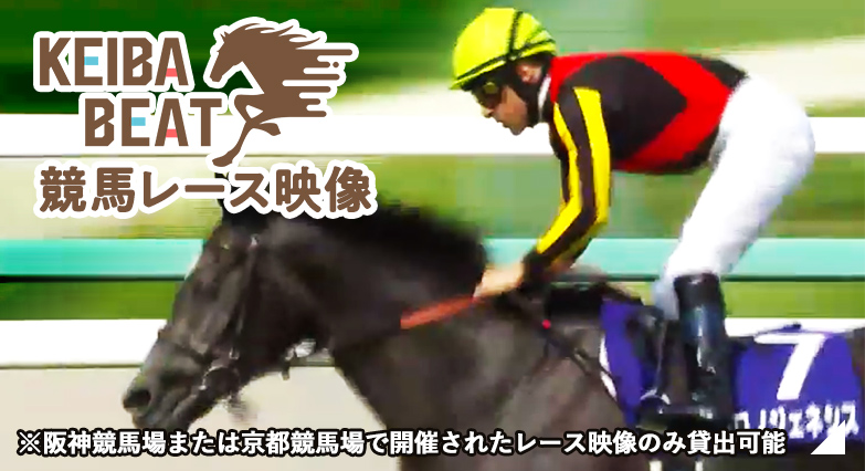 競馬レース映像