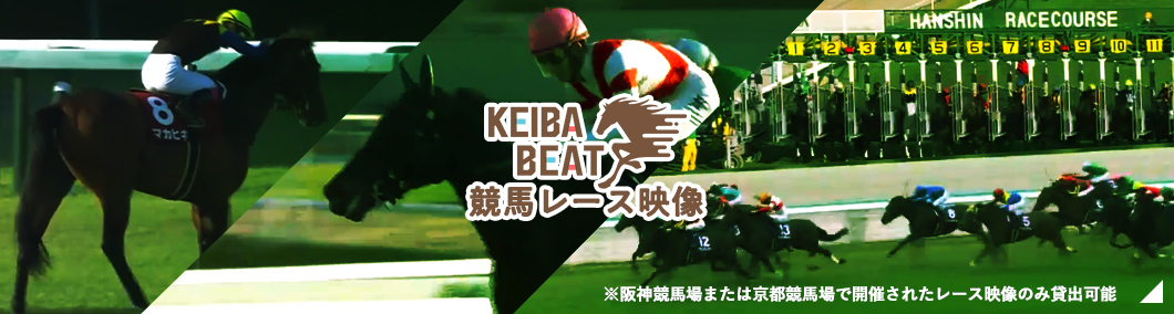 競馬レース映像