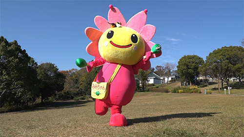 堺市南区の『みみちゃん』