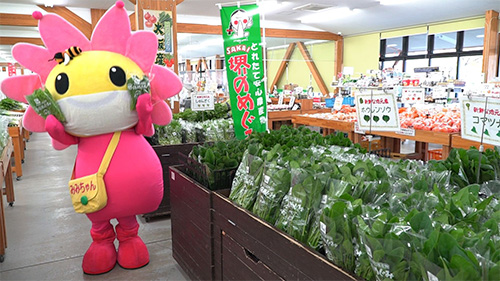 堺市南区の『みみちゃん』