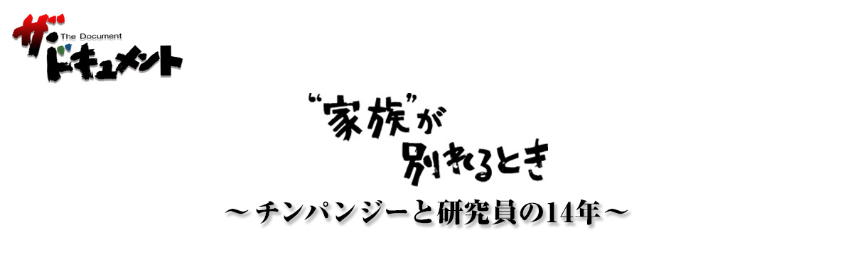 “家族”が別れるとき ～チンパンジーと研究員の14年～