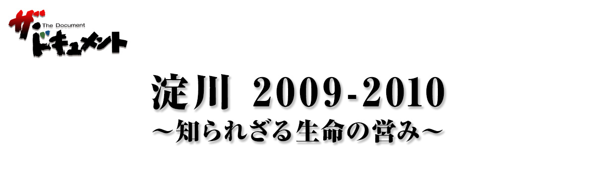 淀川 2009-2010 ～知られざる生命の営み～