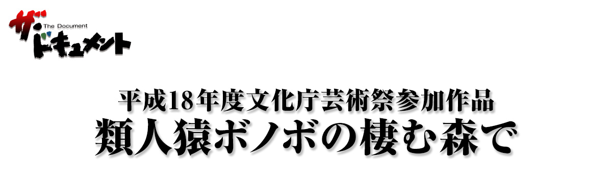 類人猿ボノボの棲む森で