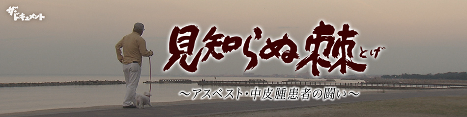 見知らぬ棘～アスベスト・中皮腫患者の闘い～