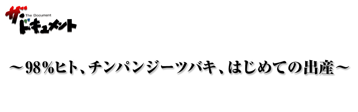 ～98％ヒト、チンパンジーツバキ、はじめての出産～