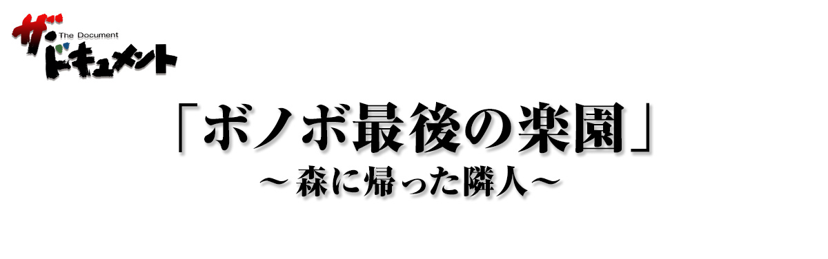 「ボノボ最後の楽園」～森に帰った隣人