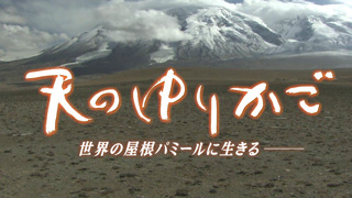 天のゆりかご 世界の屋根パミールに生きる―