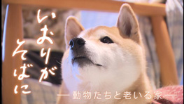いおりがそばに ～動物たちと老いる家～