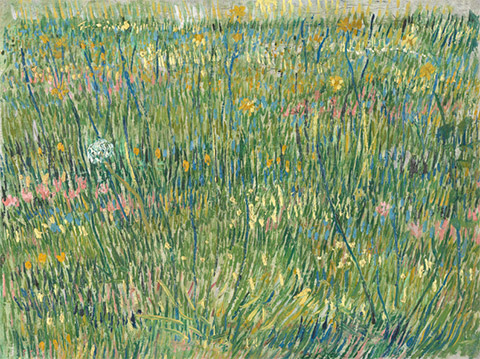 Vincent van Gogh 《Patch of Grass》