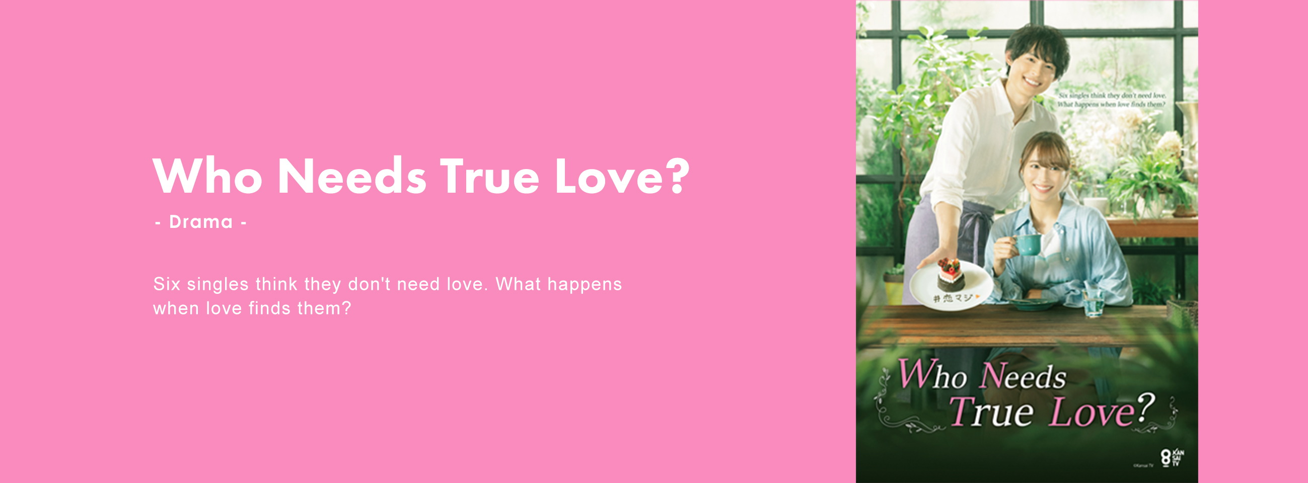 Six singles think they don't need love. What happens when love finds them?