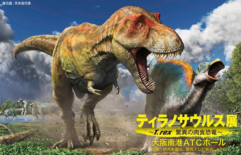公式 ティラノサウルス展 T Rex 驚異の肉食恐竜 イベント 関西テレビ放送 カンテレ
