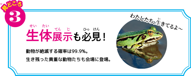 見どころ3 生体展示も必見!動物が絶滅する確率は99.9%。生き残った貴重な動物たちも会場に登場。