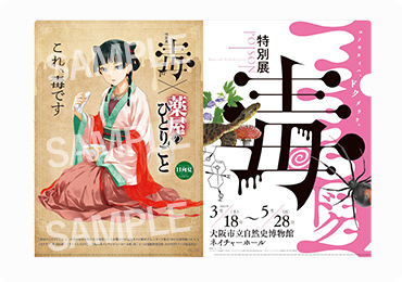 特別展「毒」×『薬屋のひとりごと』コラボクリアファイルプレゼント