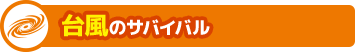 台風のサバイバル