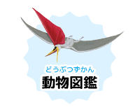 動物図鑑