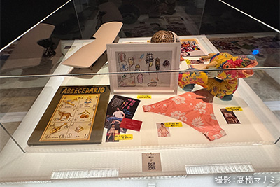 大どろぼうの家