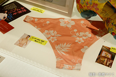 大どろぼうの家