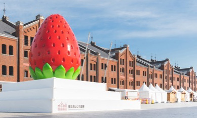 ＜Yokohama Strawberry Festival 会場＞