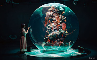 「AQUARIUM × ART átoa」とのセット券