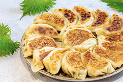 餃子屋 はまだ（滋賀・草津市）