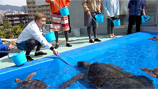 フットボールアワー