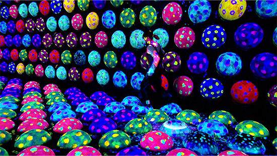 チームラボ バイオヴォルテックス 京都