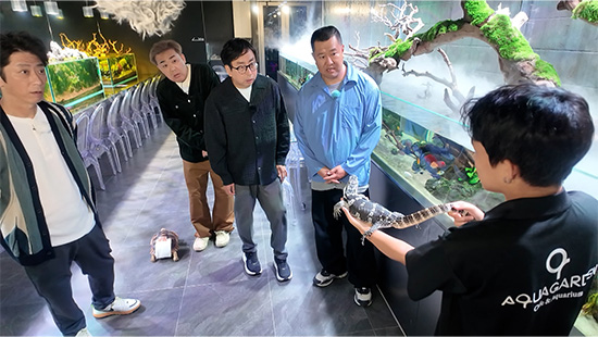 おいでやす小田、とにかく明るい安村、フットボールアワー