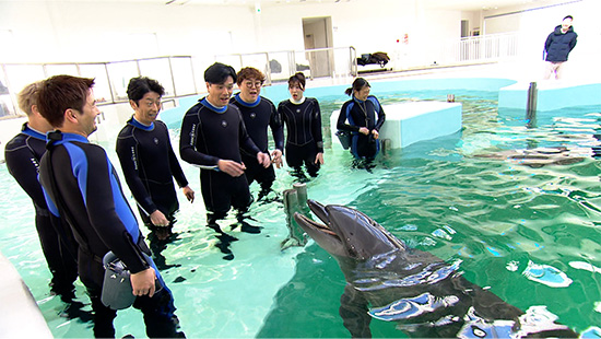 田中友梨奈アナウンサー、フットボールアワー、マユリカ