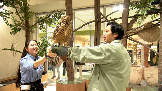 チュートリアル