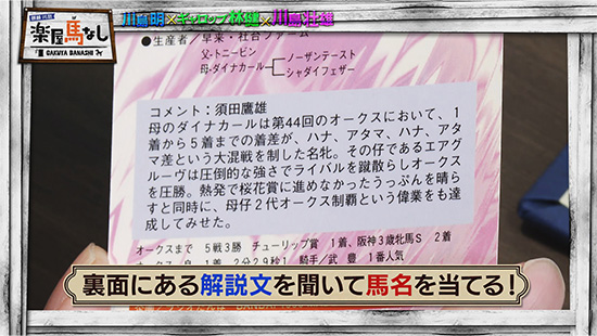 裏面にある解説文を聞いて馬名を当てる！