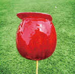 AppleToy