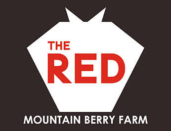 THE RED（イチゴデザート）