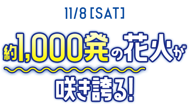 11/8（土）約1,000発の花火が咲き誇る！