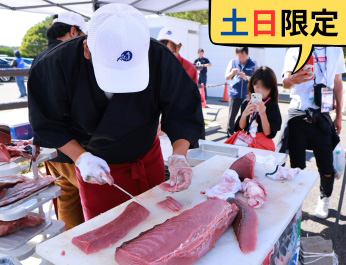 マグロ寿司無料配布