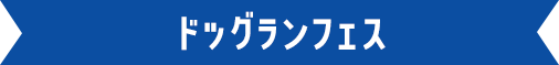 ドッグランフェス