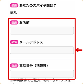 予想選択後フォームに移動し「必要事項」を記入して送信