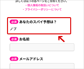 フォーム画面の解説