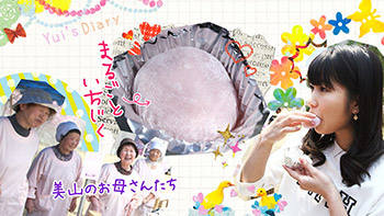 今回のお土産