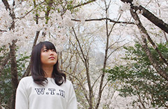 大野桜まつり