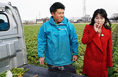 聖護院大根