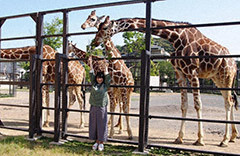 京都市動物園