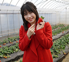 いちご工房さかべ