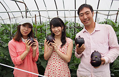 上賀茂神社周辺に広がる八隅さん家の畑 良質な水で育った京野菜の“色”