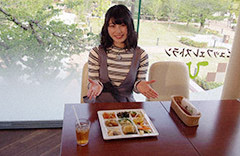 ひな野
