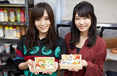 食品サンプル店