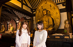 木津川市の浄瑠璃寺